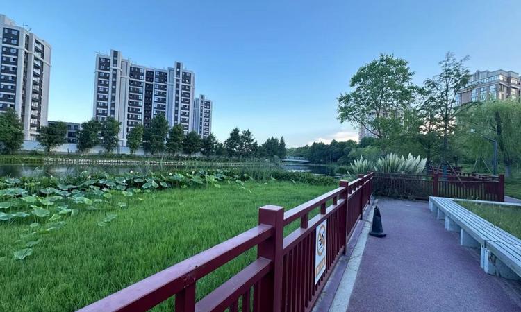 港城悦领实景图