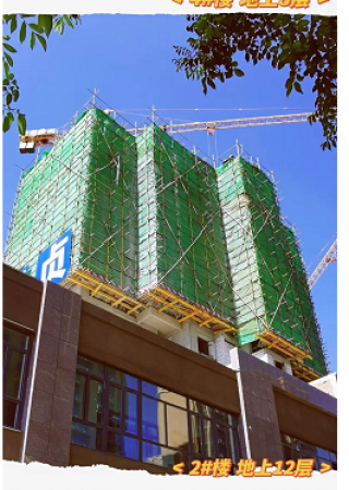 金鼎·学府壹号施工进度图