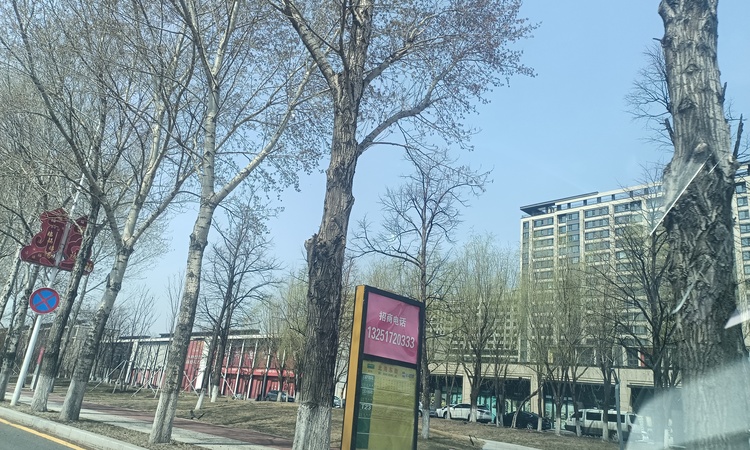 万科金域蓝湾施工进度图