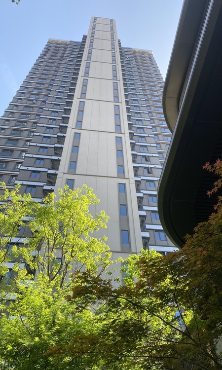 龙湖·云河颂施工进度图