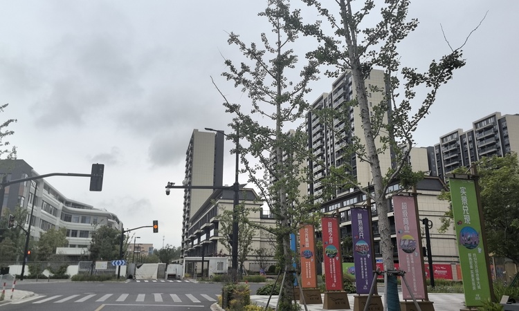 龙光·天曜施工进度图