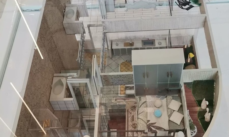 荷兰风情·魔码实景图