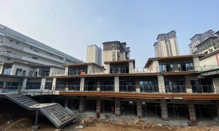 世纪金源·域见天城施工进度图