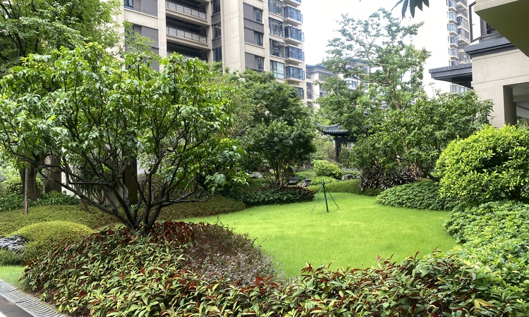 建发·央玺实景图