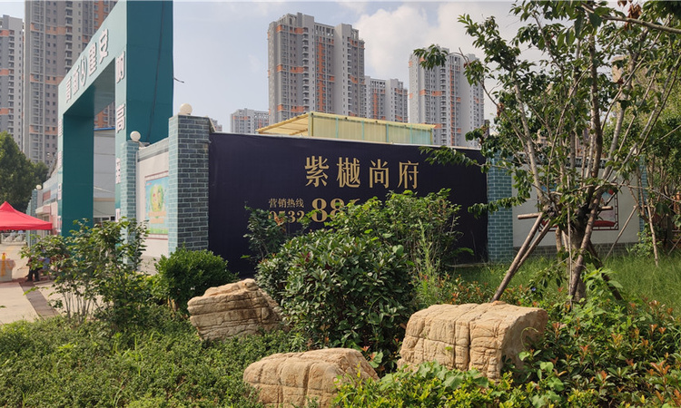 紫樾尚府施工进度图