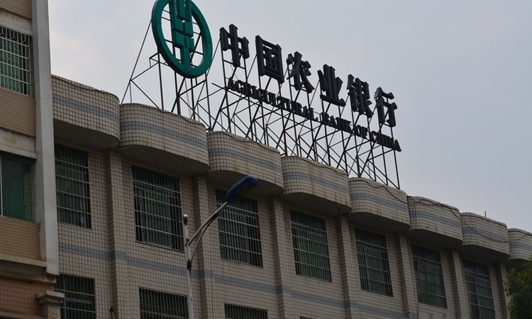 华申·滨江国际新城周边配套图