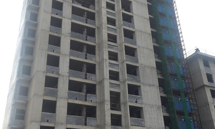 新业御园施工进度图