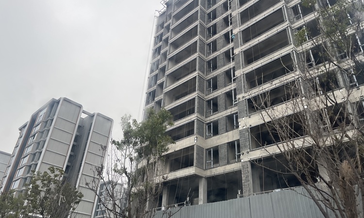 国浩·白屿林施工进度图