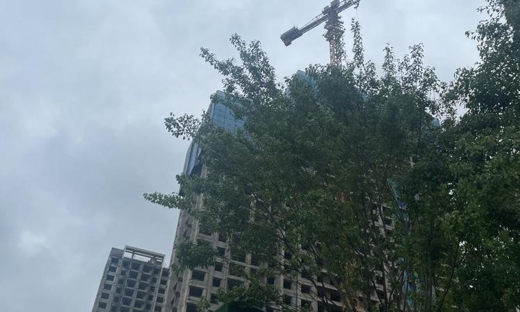 卓越大江实景图