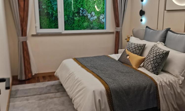 万龙西湖银河城样板间