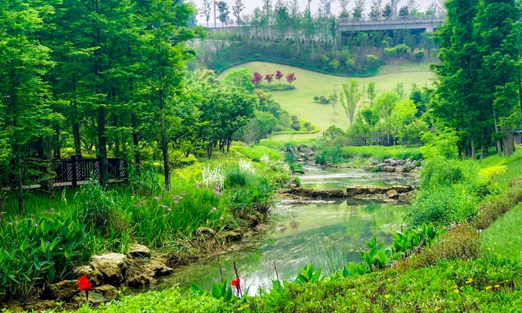 中国铁建·花语墅周边配套图