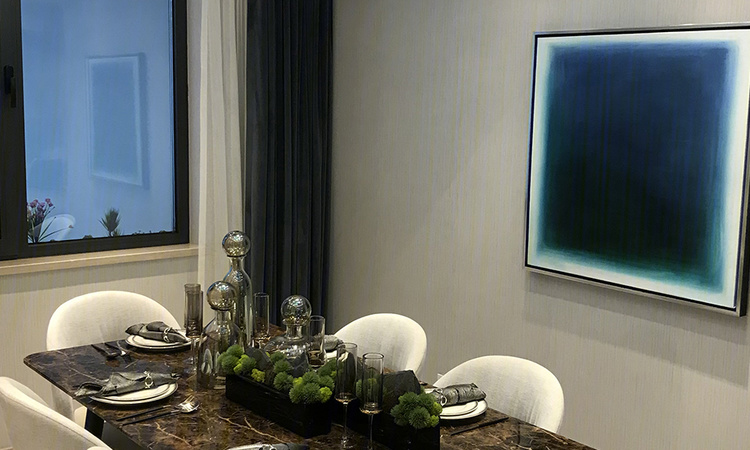 金融街碧桂园熙湖臺样板间