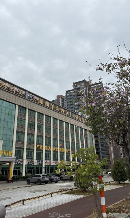 合景臻湖誉园施工进度图