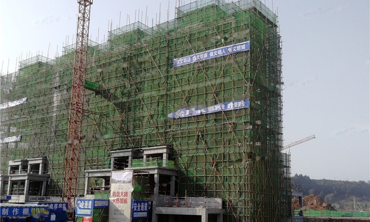 登科·华府实景图