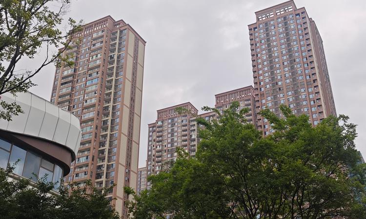 中建铂公馆实景图