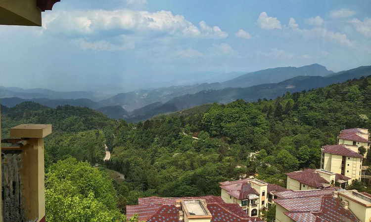 长青森林康养度假区实景图