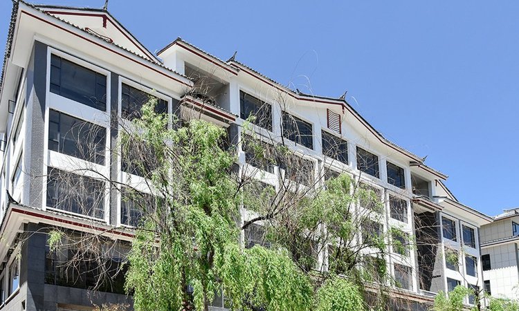 花马国际实景图