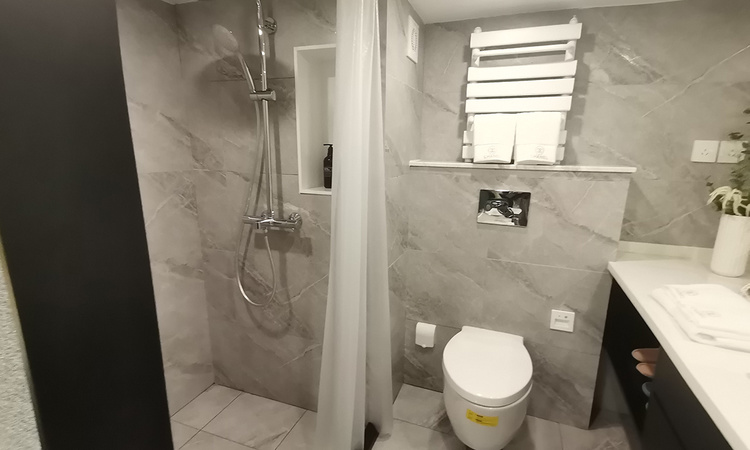 中电世纪公元样板间