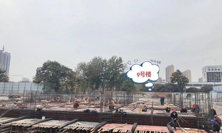 澳泽幸福里施工进度图