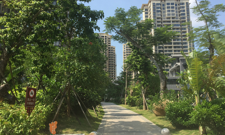 鸿信御景湾实景图