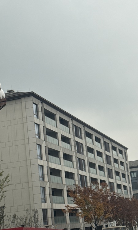 顶峰林语蝶院施工进度图