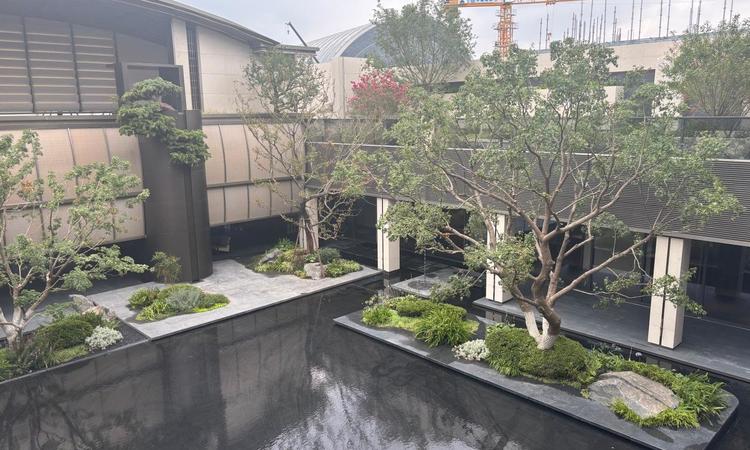 天津金茂府施工进度图