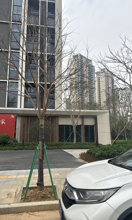 中铁·阅江来施工进度图