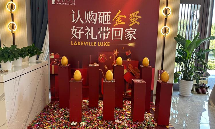 翠湖水岸实景图