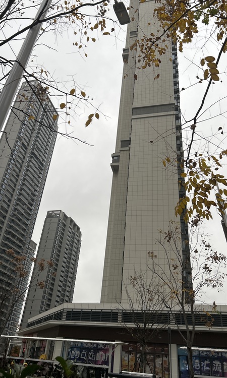 海格公馆施工进度图