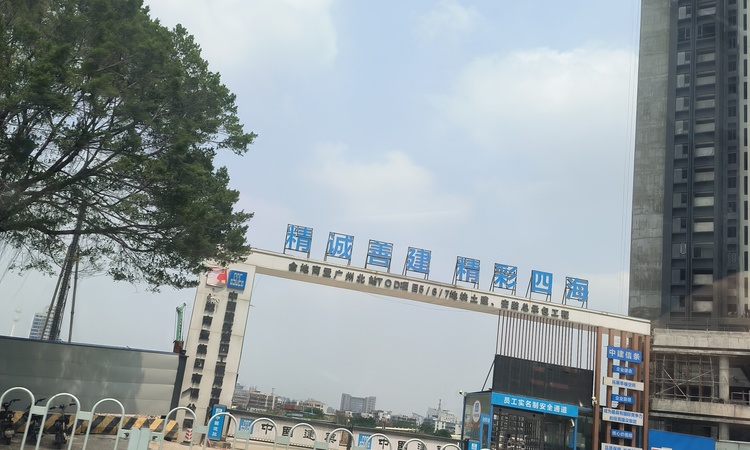 金地商置·都会峯范施工进度图