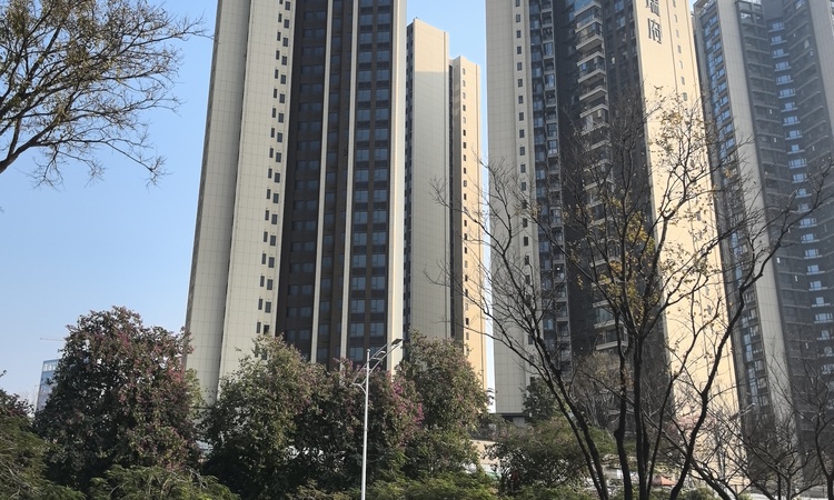 龙光·玖瑞府实景图