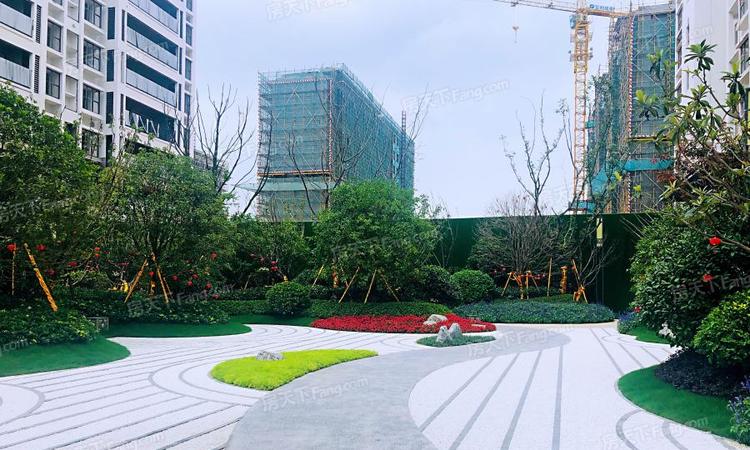 保利·罗兰春天实景图