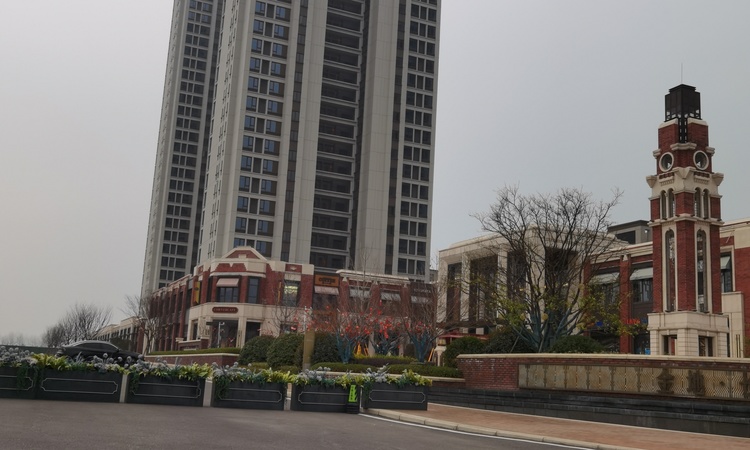 金地长江艺境施工进度图