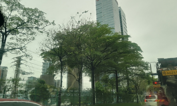 珠光金融城壹号实景图