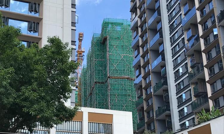 春风与你施工进度图