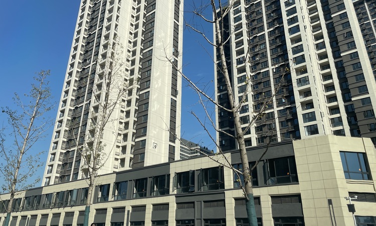 盘龙正荣府施工进度图