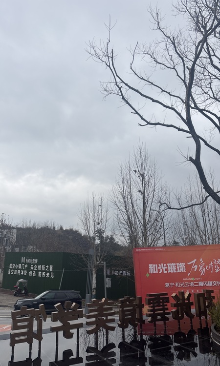 葛宁和光雲境施工进度图