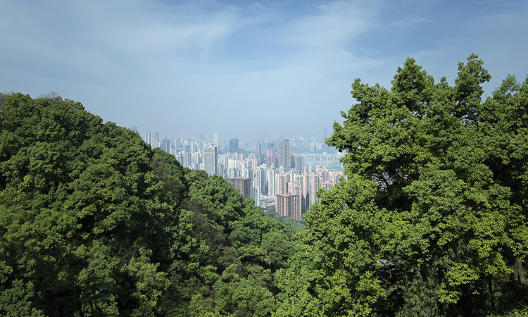 聚丰南滨江宸周边配套图