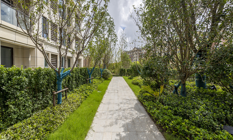 新华御著实景图