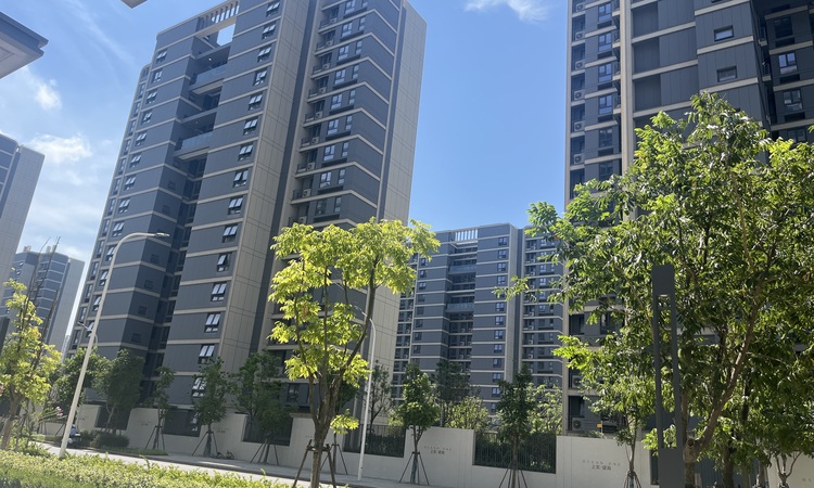 上实望海施工进度图