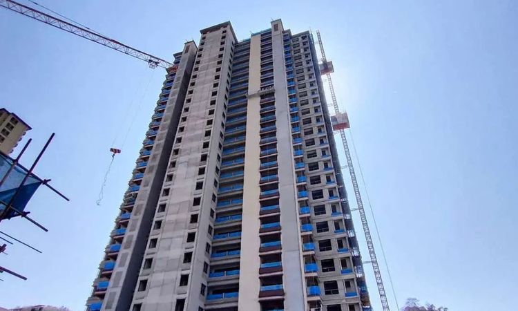 万象绿城·桐樂府施工进度图