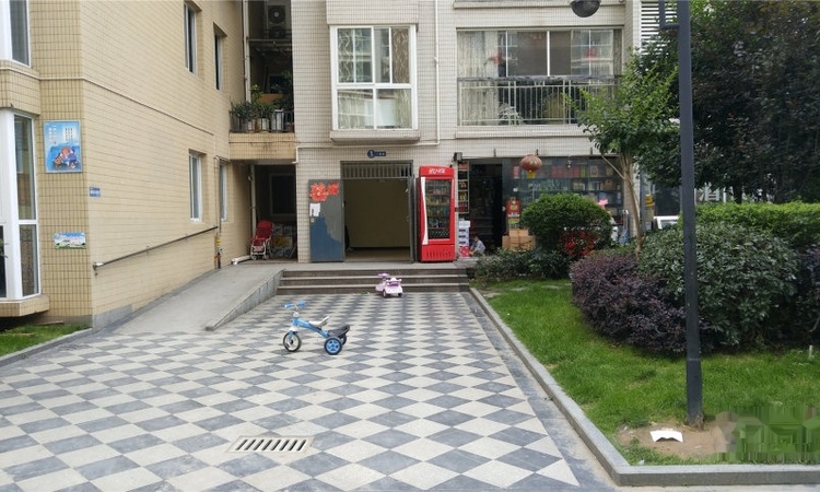 江南水乡实景图