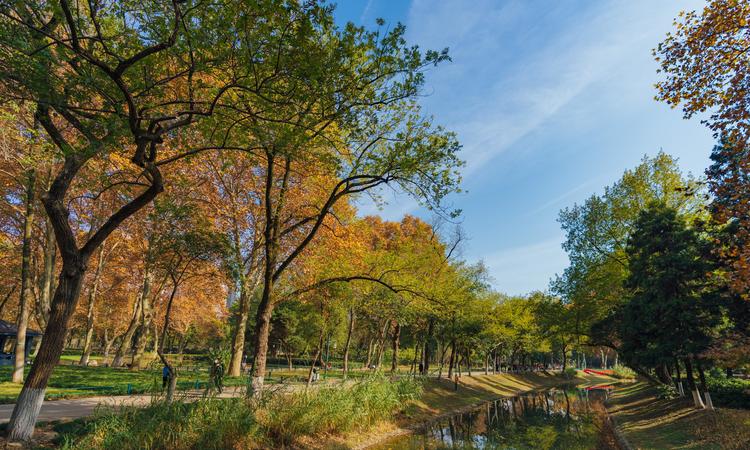 武汉星河湾周边配套图