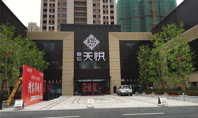 恒信天悦实景图