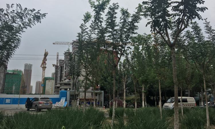 鲁能泰山7号施工进度图