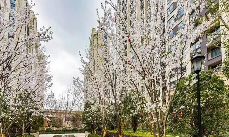 中国铁建印象花语墅实景图