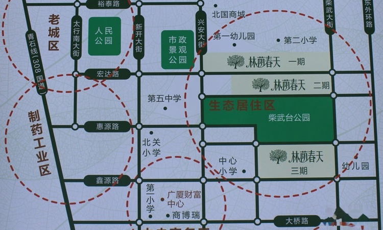 林荫春天交通图