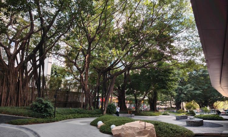 越秀·天河·和樾府实景图