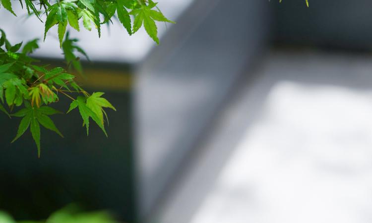 朝阳一墅实景图