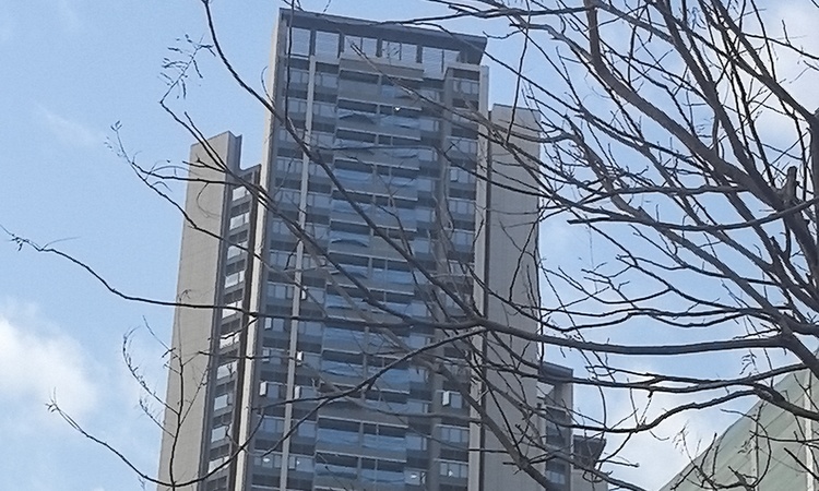 超核紫云府实景图